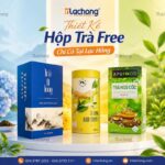hop-dung-tra-bang-giay