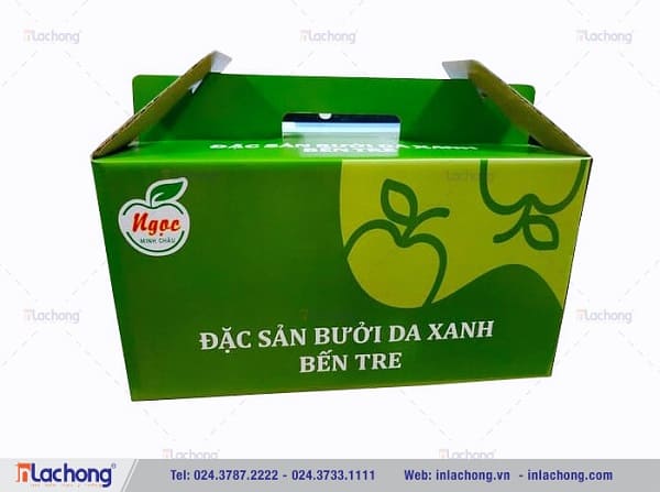 hộp giấy đựng bưởi hop-giay-dung-buoi