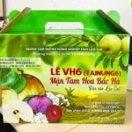 in-hop-giay-dung-trai-cay