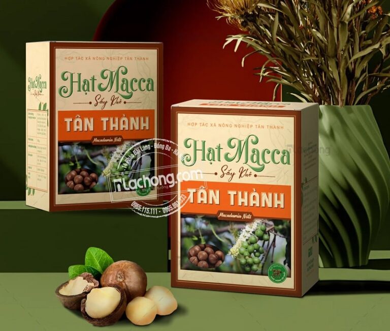 99+ Mẫu in hộp giấy đựng hạt macca, hạt điều ĐẸP 2026