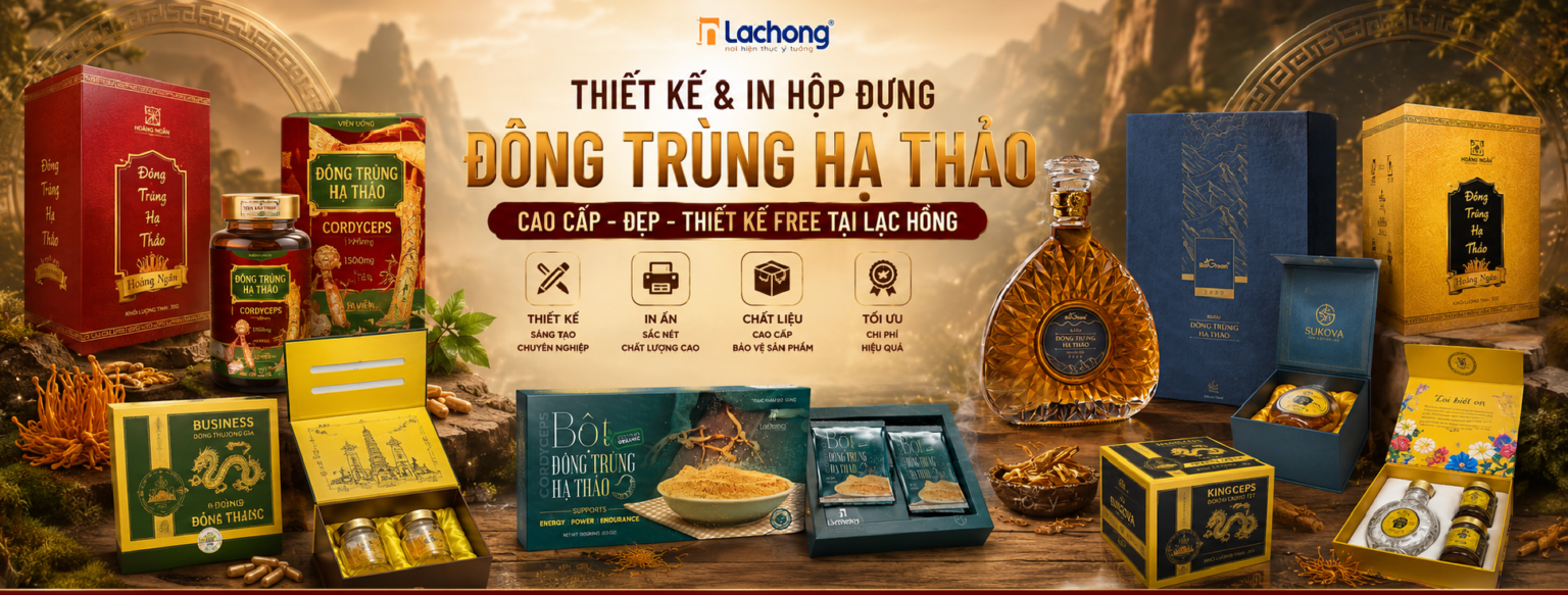 hop-dung-dong-trung-ha-thao-cao-cap