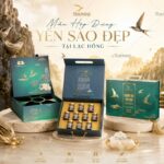 in-hop-dung-yen-gia-re